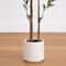 Artificial Minimalist Olive Tree in White Decorative Planter